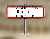 Diagnostic Termite ASE  à Ploemeur